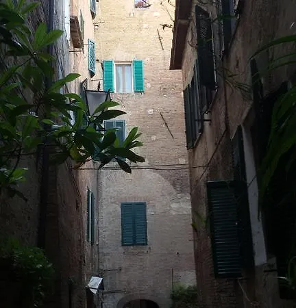 Palazzo Griffoli Сиена