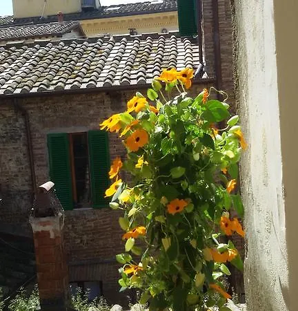 Palazzo Griffoli
