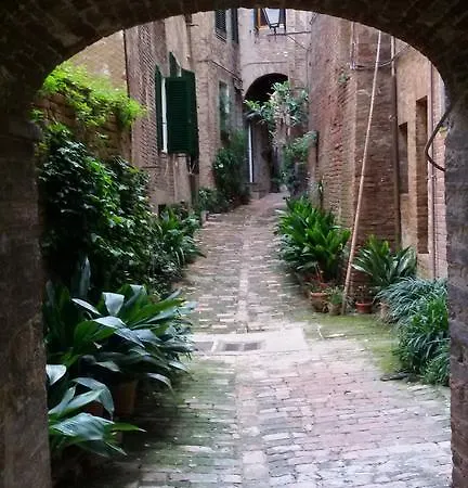 Апартаменты Palazzo Griffoli